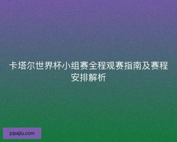 卡塔尔世界杯小组赛全程观赛指南及赛程安排解析
