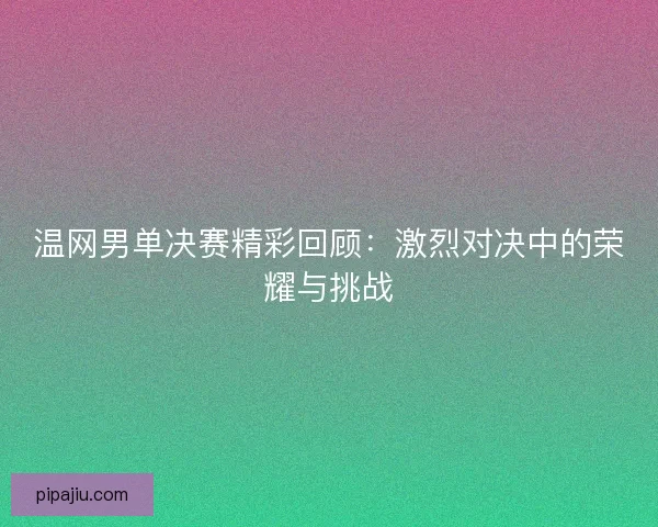 温网男单决赛精彩回顾：激烈对决中的荣耀与挑战