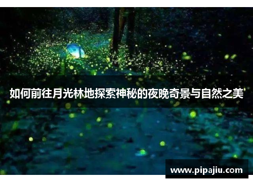 如何前往月光林地探索神秘的夜晚奇景与自然之美