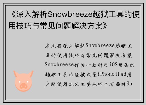 《深入解析Snowbreeze越狱工具的使用技巧与常见问题解决方案》