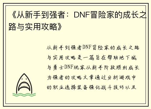 《从新手到强者：DNF冒险家的成长之路与实用攻略》